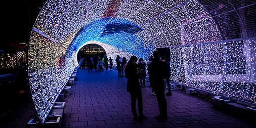 Addlux's tweet image. Successful last year, Norwich is for the second time hosting a free tunnel of light experience, the only event of its kind to be held in the UK. The tunnel is lined with pulsating LEDs and is programmed to mimic the Northern Lights.  📸: Michael Button