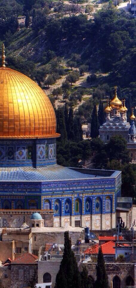 _D1D_N's tweet photo. يا وجهاً يعبق مثل حقول الورد..~❤️🌺😍

#القدس_عاصمة_فلسطين_الأبدية https://t.co/jlYxinJUpW