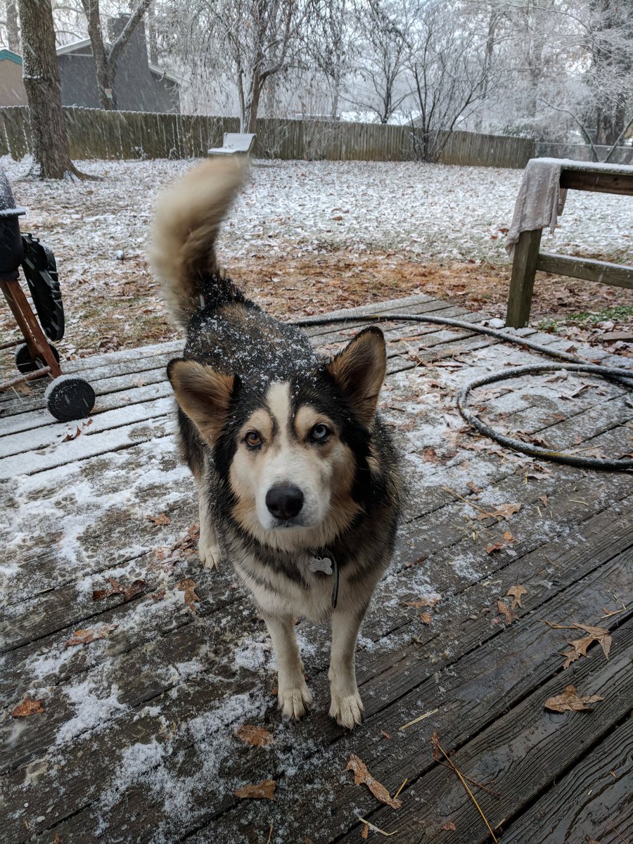 Flyhalf205's tweet image. #SnoWBRC