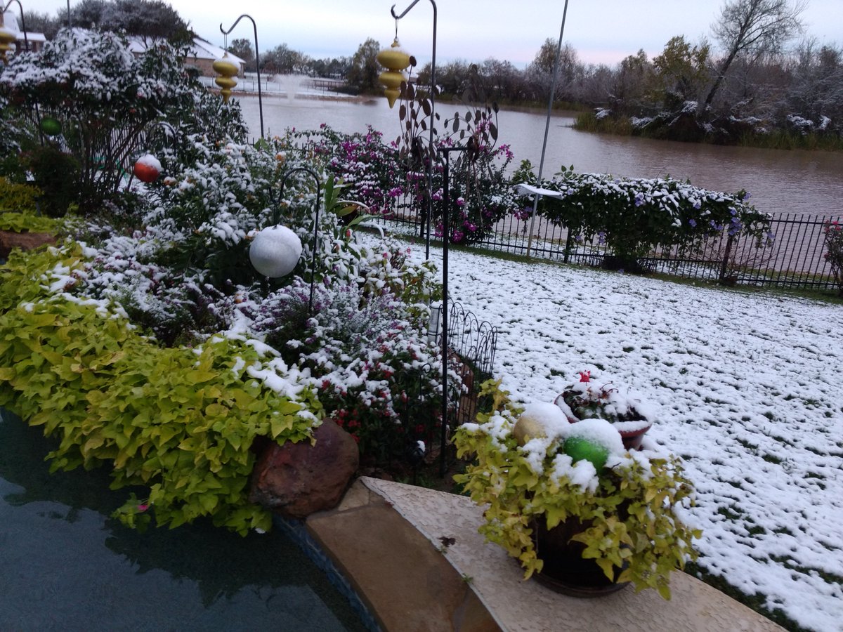 howardcaesar's tweet image. WOW! SNOW IN HOUSTON!!  It is a rare and beautiful thing to have happen in and around Houston. Love it!!!