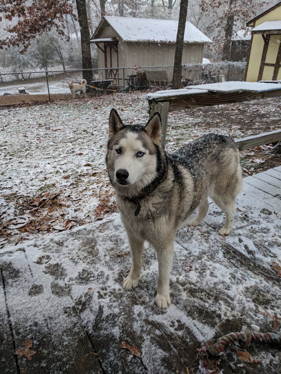 Flyhalf205's tweet image. #SnoWBRC