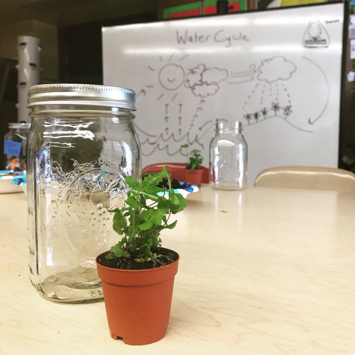 hhspa368's tweet photo. #science #terrariums #kindergarten https://t.co/1upBpP3f1H