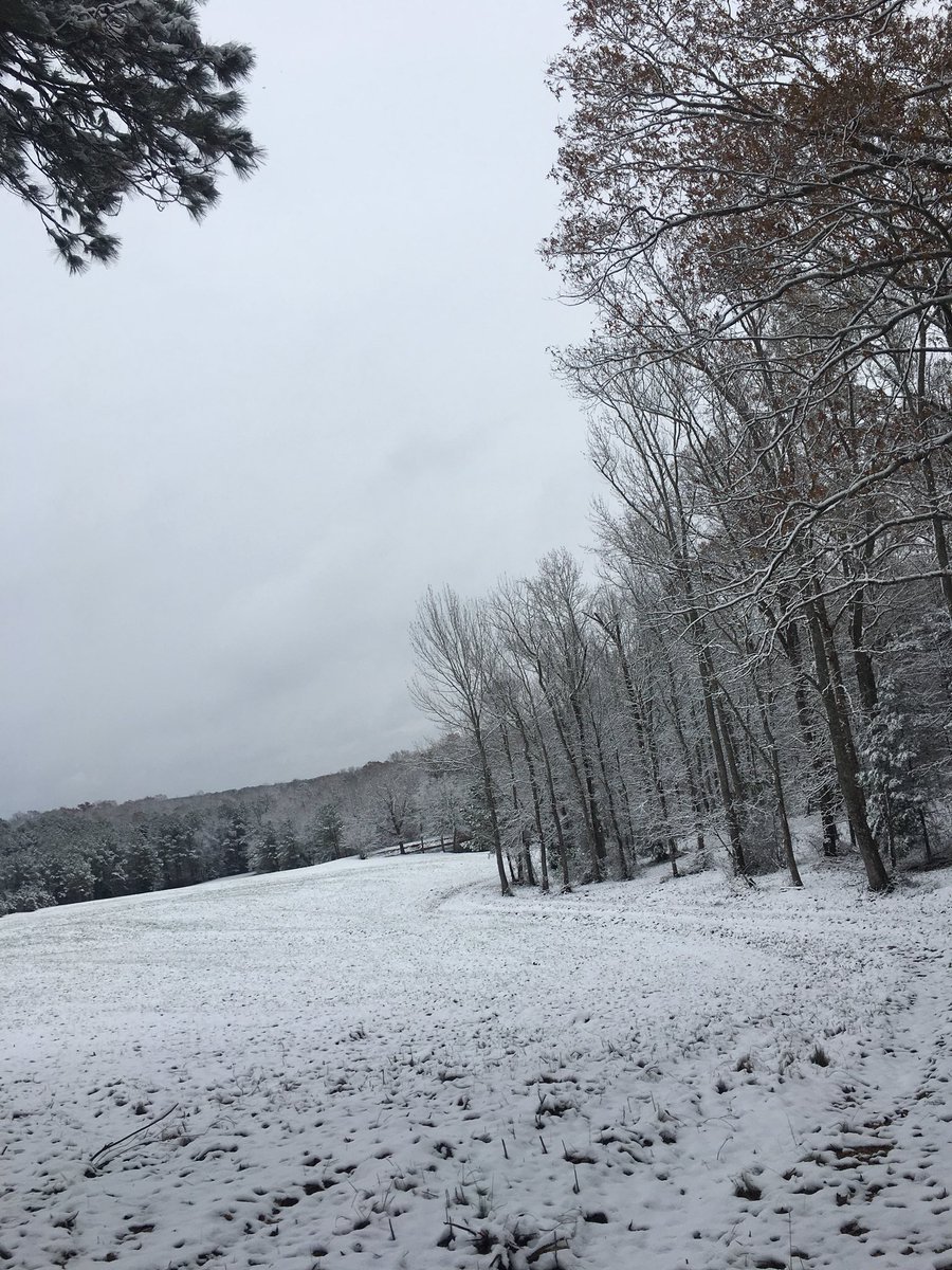 Jada Lee ❁🌸🪴 tweet media