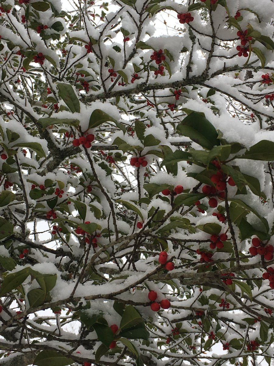 Jada Lee ❁🌸🪴 tweet media