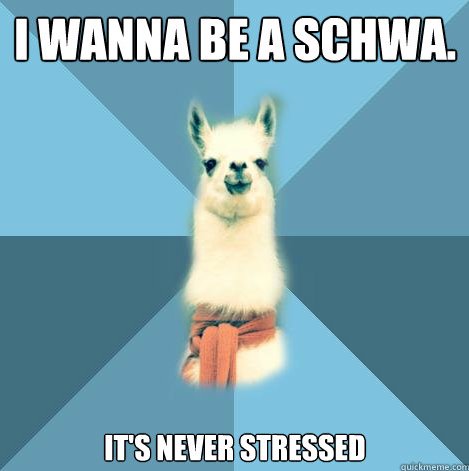 SpeechTherapyPD's tweet photo. #SLPfun #SLP4life https://t.co/s6ZF82T7mf