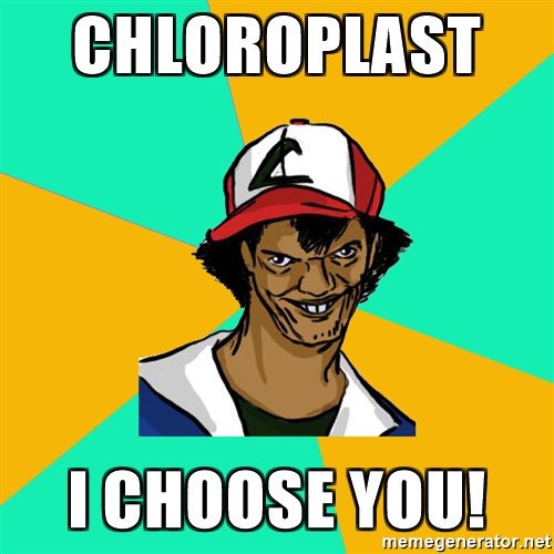 Chlorob1ast's tweet photo. Even Ash choose us 
#HHSCellection2017 https://t.co/TDiJbXhMDJ
