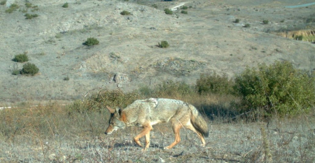 Vasque Trail Running tweet media