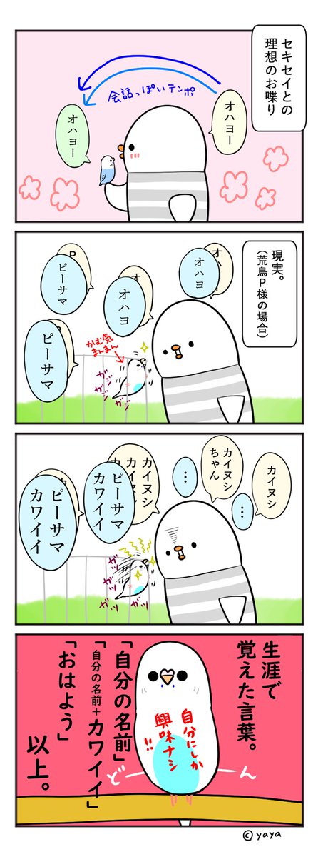 セキセイインコのtwitterイラスト検索結果 古い順 セキセイインコのtwitterイラスト検索結果 古い順