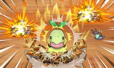 ぽこもこ 起こせ 起こせ だいちのちから アローラフォトクラブ ぽこもこ 起こせ 起こせ だいちのちから アローラフォトクラブ