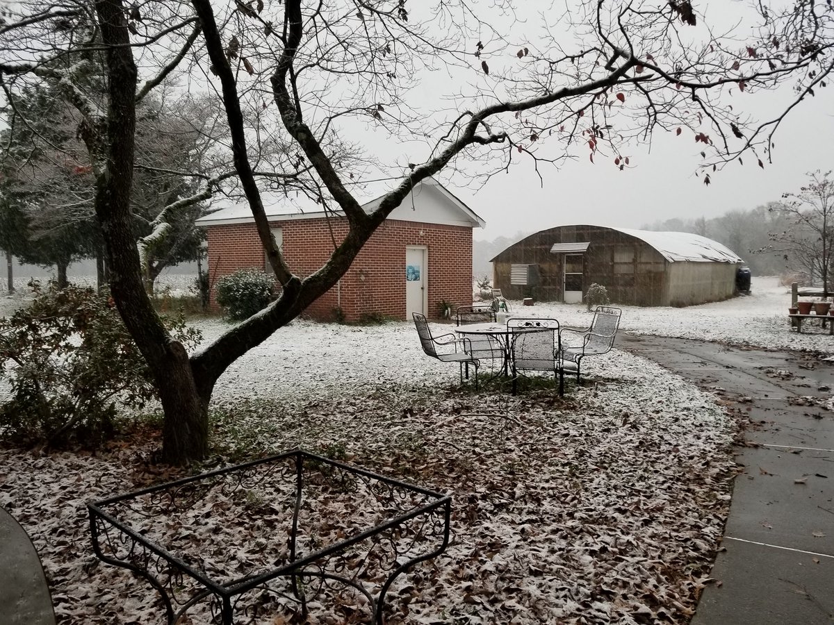mcelwee_john's tweet photo. Snow at McLendon Farm in Whorton Bend in Gadsden AL @spann https://t.co/C8cWb10VpS