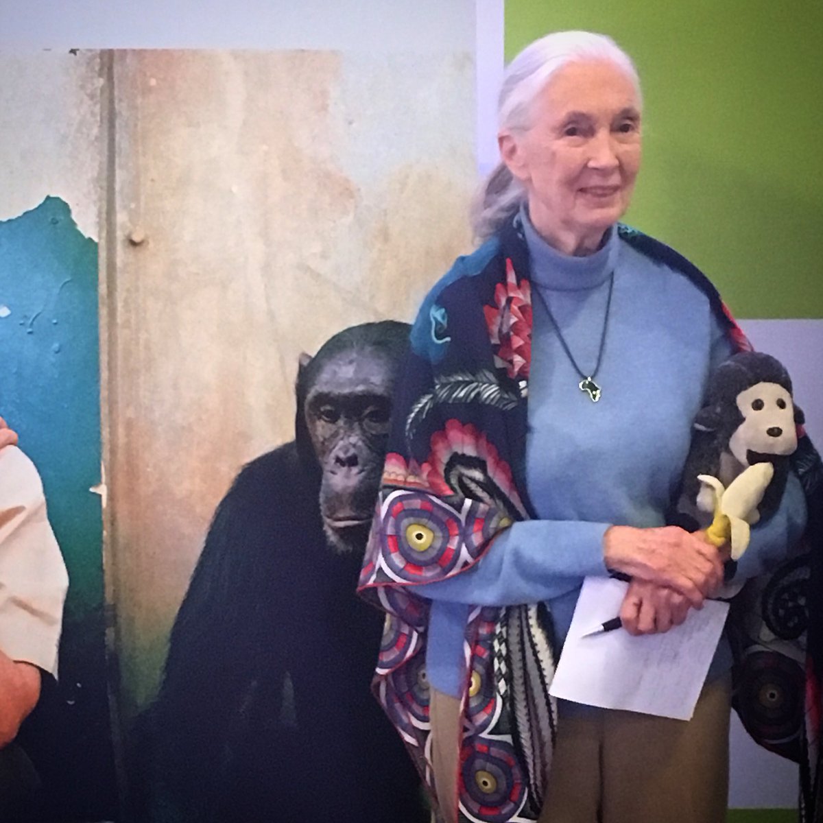 ruhrpottagentin's tweet photo. „We are NOT the only beings with emotions. That is for sure“, sagt die großartige #JaneGoodall. @JaneGoodallInst @JaneGoodallCAN Ein Vortrag, der zumindest mich tief berührt. Es gibt sie, diese ganz besonderen Menschen. #specialmoment #davidgreybeard #DNP10 https://t.co/deRzScVDq0