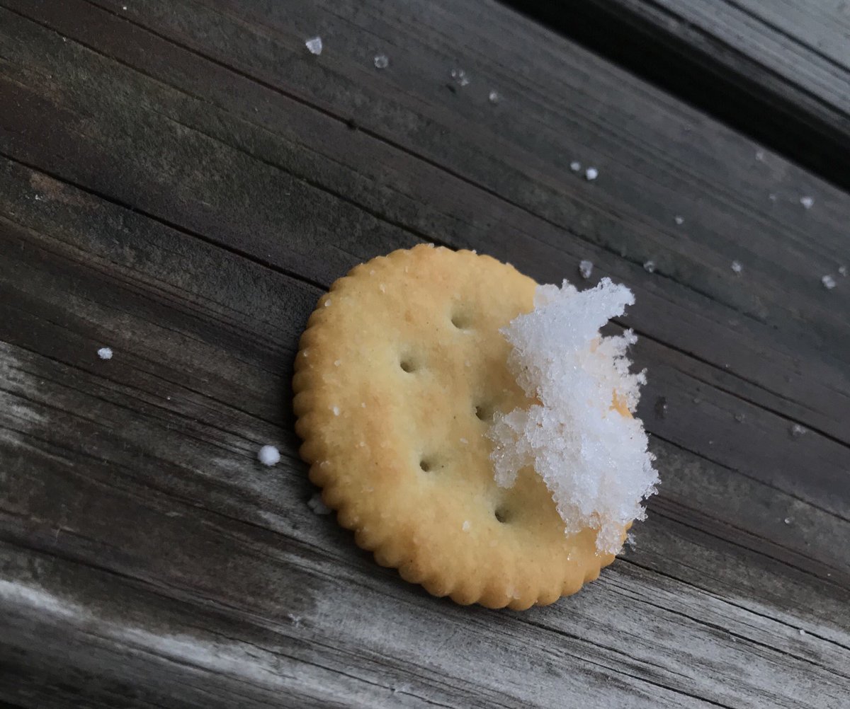 katrinadanieIIe's tweet photo. I got some ice on my ritz so I look better when I dance https://t.co/YgvNhaJur7