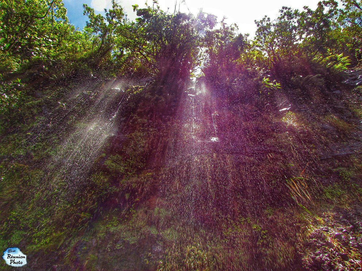 elisefelon's tweet photo. Sur les sentiers de Takamaka, une pause fraîcheur au soleil qui ne peut faire que du bien 😉
Bon week-end à tous 😘
#LaReunion #Team974 #NATURE #travel #landscape #photooftheday #photography https://t.co/fDHIhI2hXN