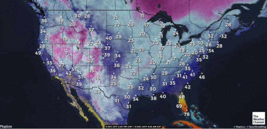 VISITFLORIDA's tweet image. Meanwhile, in South Florida... #LoveFL 

📷: @weatherchannel