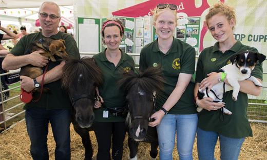 Goats, chickens, horses and guinea pigs - just some of our animals in our nurturing environment #CheerForGood #colchester <a href="/colchstarbucks/">Starbucks Colchester</a> Please Retweet