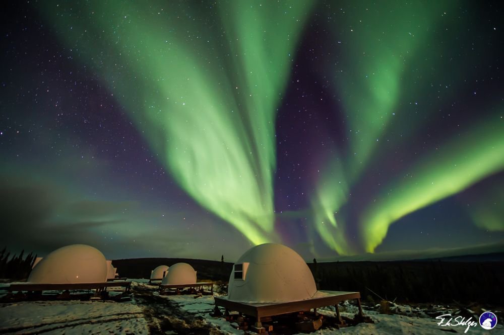 exploretours's tweet image. We know the myth... all Alaskans live in #igloos...its not quite the case, but wouldn't it be cool?!?! Dreams do come true with this NEW package! Chase Northern Lights and stay in an igloo...then brag to all your friends at home! bit.ly/2krkzth