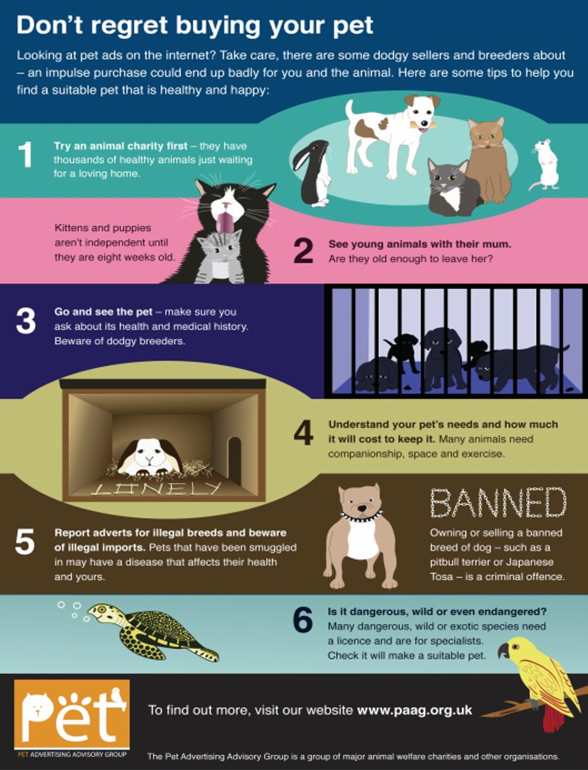 Dr_Dan_1's tweet photo. #PAAG does remarkable work for #AnimalWelfare. #FF @BDCH @The_Blue_Cross @BritishVets @CatsProtection @DefraGovUK @DogsTrust @TheKennelClubUK @IFAWUK @themayhew @OATALtd @onekindtweet @PDSA_HQ @PetFedUK @RSPCA_official @RabbitRWAF @Raystede @Wood_Green @HorseCharity RT #Teamwork https://t.co/p2mYgp8aeF