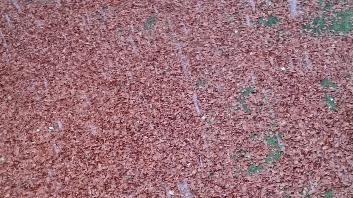 Snow turns into rain
This is my winter showcase
Rain turns into snow
#Haiku #Snow #winter