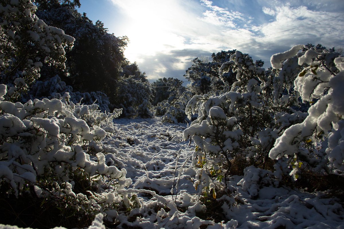 Awesome morning at the brewery today. We will be open from 12-8pm both Friday and Saturday.