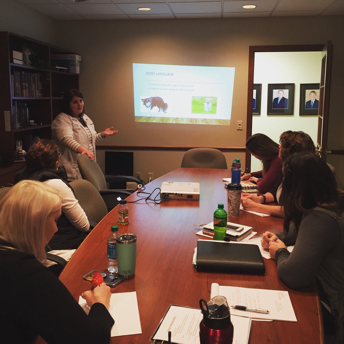 Orrville Pet Spa Orrvillepetspa Twitter