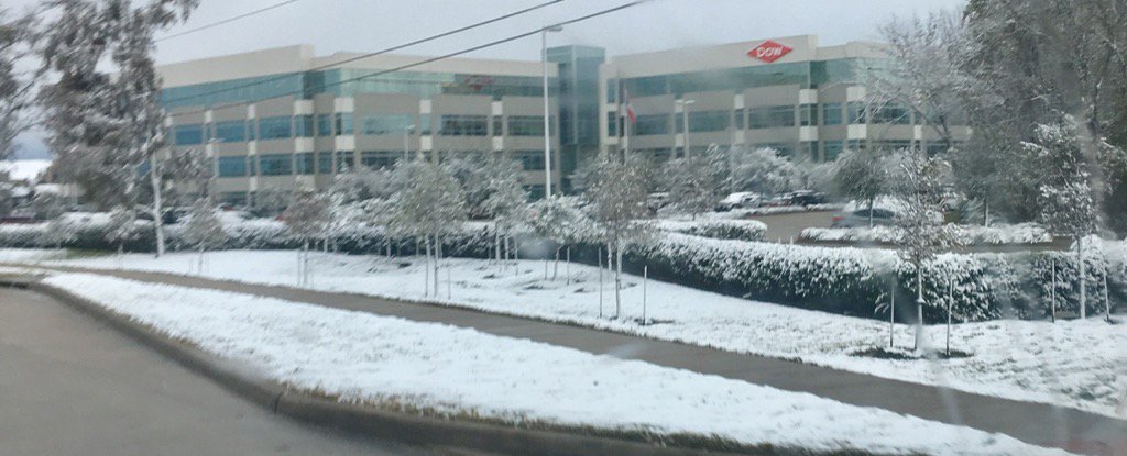 LeslieFan_1's tweet photo. A rare winter wonderland here at the Dow Texas Innovation Center! https://t.co/WVA0Hw5B2V
