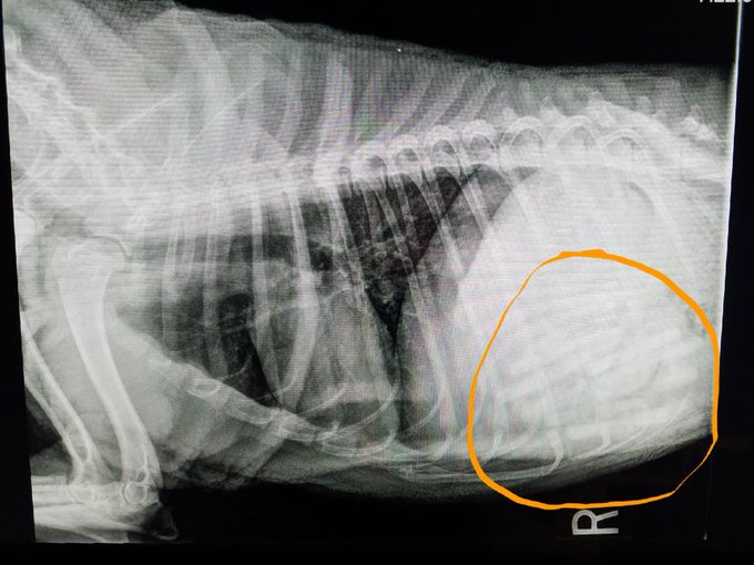 View image on Twitter