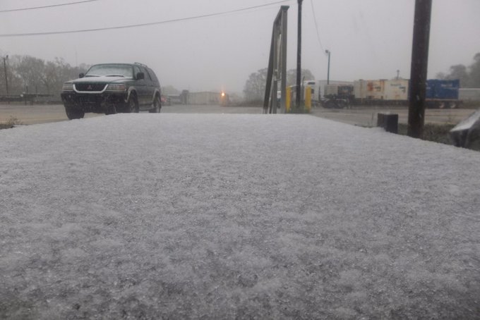 look at the #Sneaux in Louisiana. also, look at the back of my dog's head :P https://t.co/ueqKqZw5cl<a href="/tag/sneaux"class="tags">#Sneaux</a>