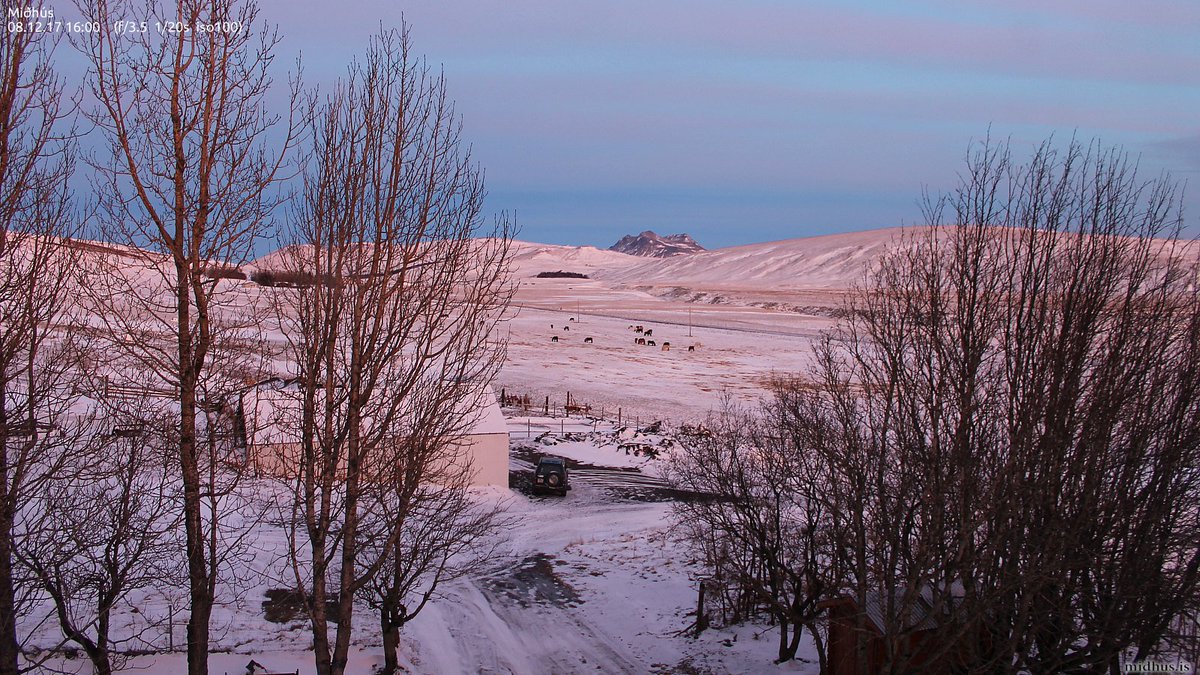 me_too's tweet photo. More #pretty in #pink #ponies!
#Iceland #hvolsvöllur #midhus https://t.co/k0ZnCSs0mk