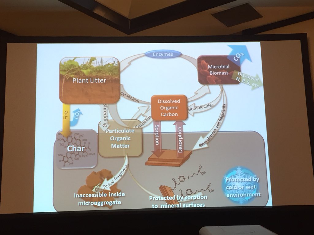 soilsdiva's tweet photo. One of my favorite #soil experts Dr. Ray Weil talking about #soilorganicmatter #CoverCrops17 @SWCSNews https://t.co/1xmHVqFnQp