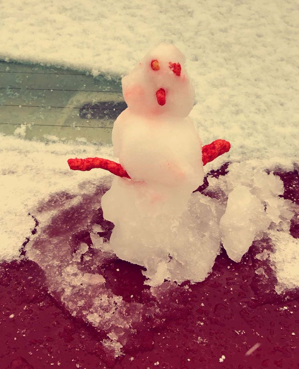 FRED_DRIK's tweet photo. Love this time of year 🌲❄️💕
#RGVSNOW #snowintexas https://t.co/E4mLQoi80B