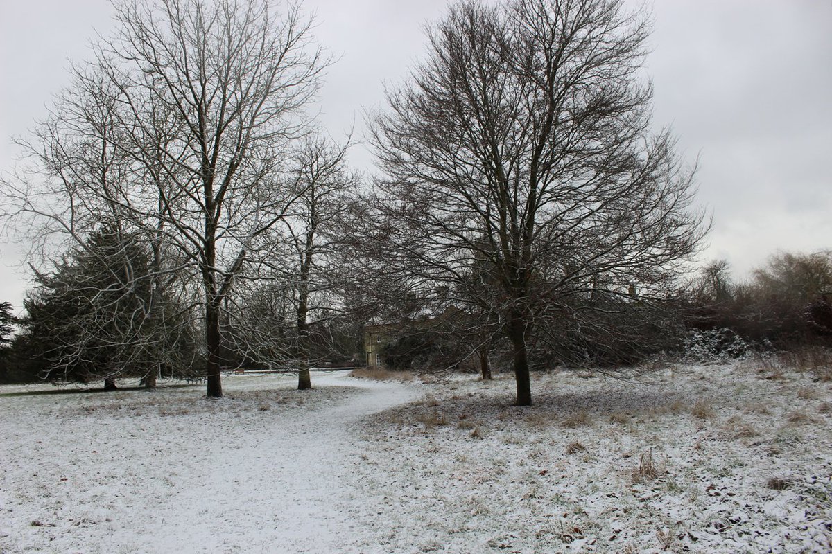 CambridgePPF's tweet photo. Have a great #weekend everyone! Don't spend all weekend shopping - why not stop off at Wandlebury on your way into or back from town for some #tree therapy. You never know, there might even be snow to play in! #FridayFeeling https://t.co/mRg1SzrC0Q