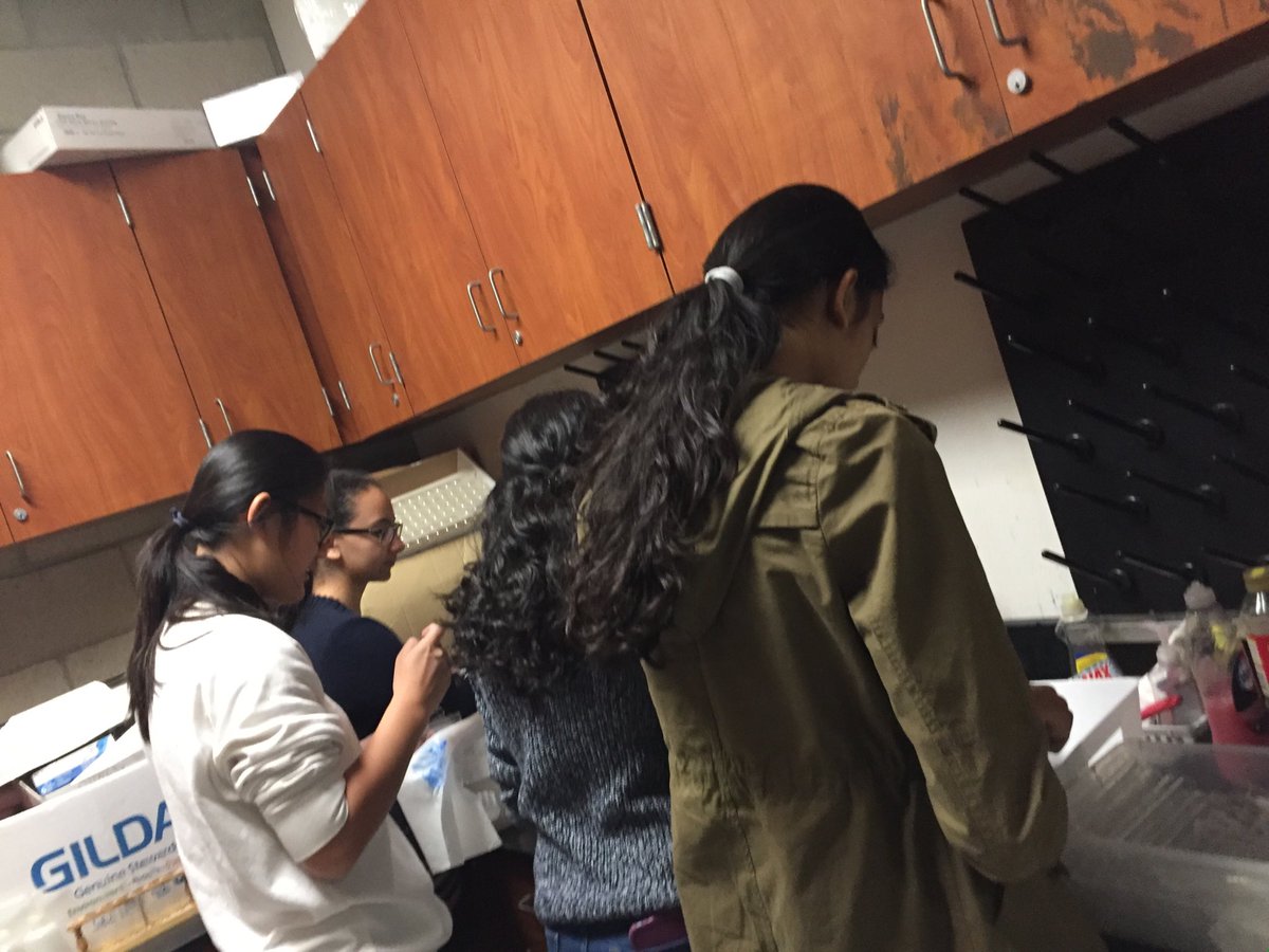 MrsKDiver's tweet photo. You just have to ask! #lovemystudents #communityservice @LOHSNHS  #clawsup https://t.co/kuslOP0um0