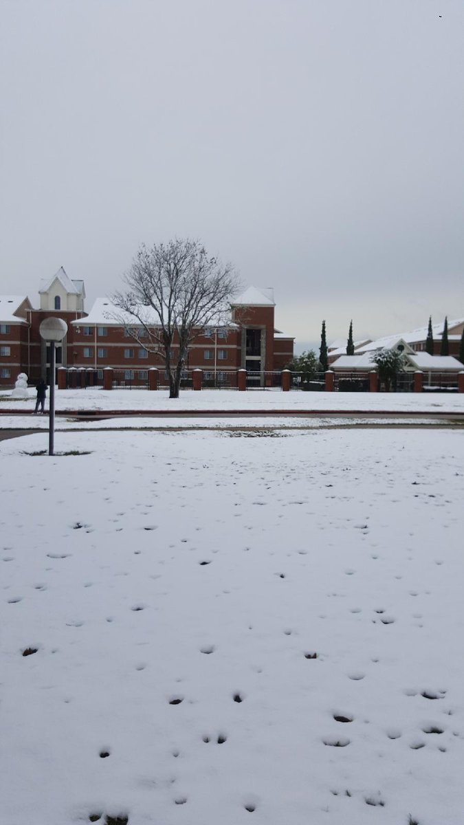 Winter break is almost here. Let it snow!!! Frosty the snowman was spotted behind Cardinal Village dorms.
#LamarPD #LamarUniversity #TexasSnow2017 #snowday #BeaumontSnow #Snow <a href="/TechieTilisa/">T. Thibodeaux, Ed.D.</a> <a href="/harapnuik/">Dwayne Harapnuik</a> <a href="/CindyDCummings/">Cindy Cummings</a> <a href="/dimason/">Diane Mason</a>