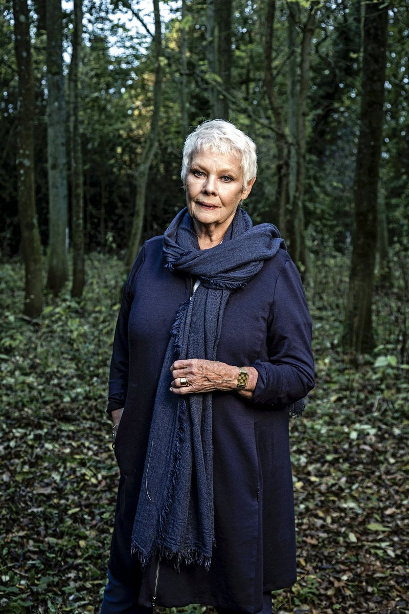 GWmag's tweet photo. What a delight to discover that Dame Judi Dench has a deep-rooted love of trees 🌳 A passion second only to Shakespeare, she reveals how her life now is "Just trees. Trees and champagne!" in her new documentary. Judi Dench: My Passion for Trees airs on BBC One, 20/12/2017 at 8pm. https://t.co/TA6jTbXcMd