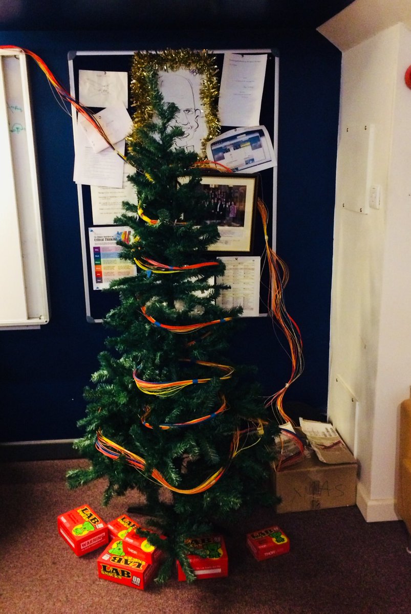 OxOPS's tweet photo. When physicists decorate #Christmas #nerdychristmas #lit @OpticalSociety https://t.co/5DIAnSmunV