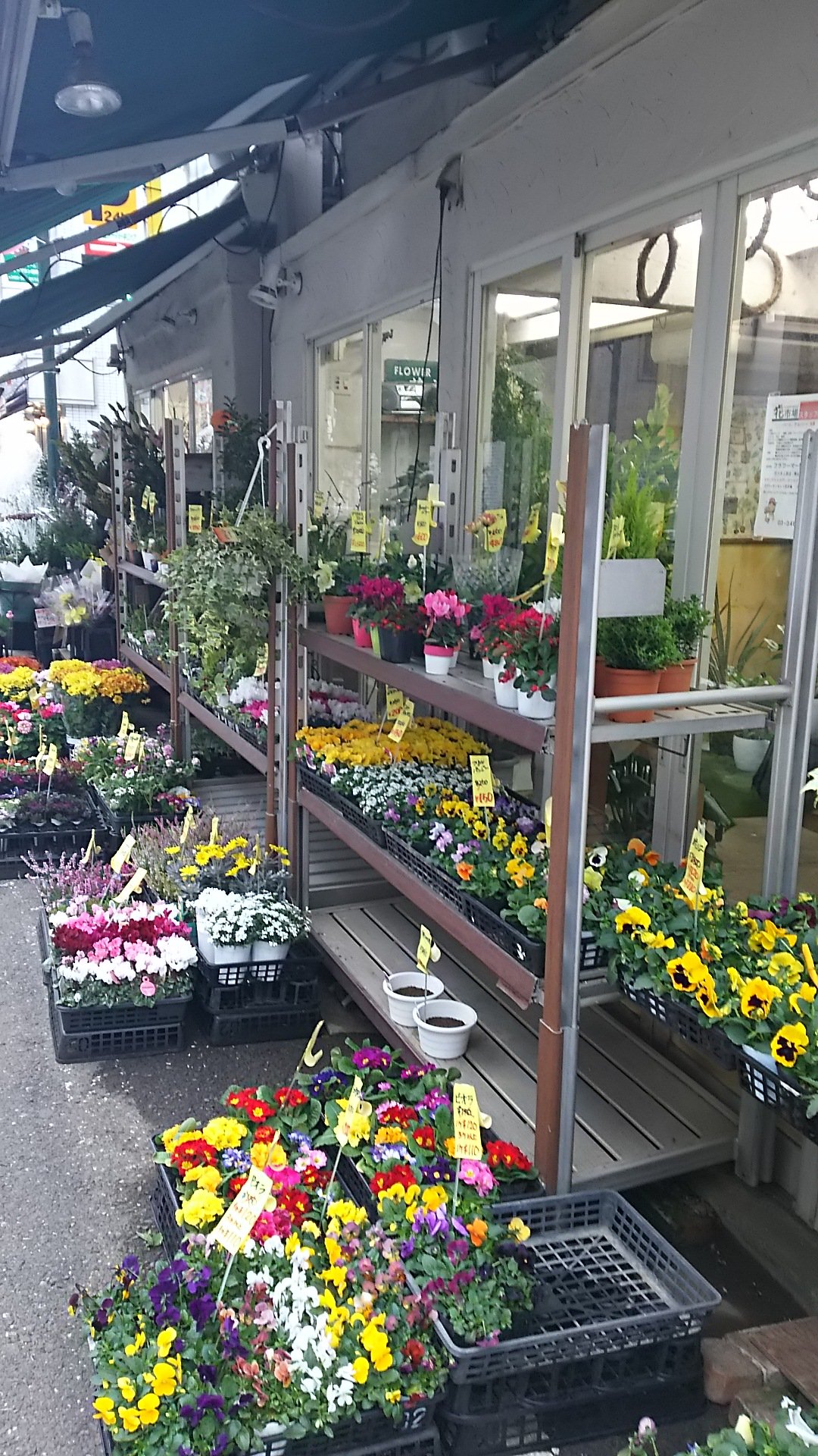 Follow 代々木上原 青山の花市場 S Air Latest Tweets Twitter