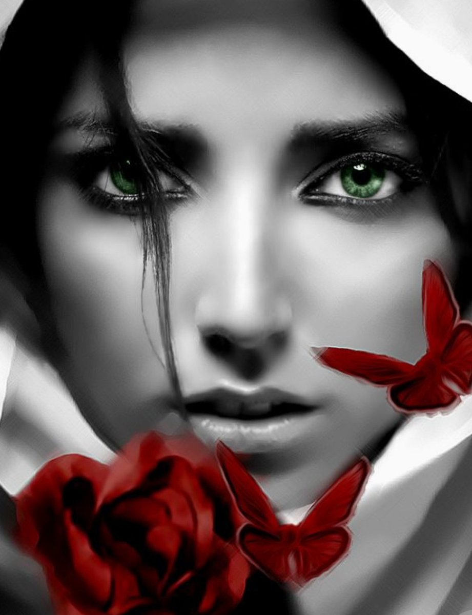 ๐ฅโ๐ฅ๐ค ๐ฌ๐๐๐๐๐ ~ ๐น๐๐ ๐ค๐๐๐ tweet media