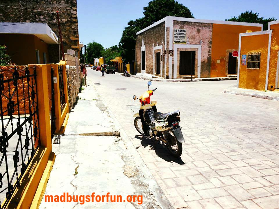 madbugsforfun's tweet photo. Une envie d'évasion ce vendredi? Écoutez notre émission voyage #GoodRoadTripsStudio sur la radio @ScarpeSensee. On vous amène au #Mexique😆 au programme: soleil, couleurs, musique...les vacances quoi!!!! Bonne écoute😗 https://t.co/4D5ttZrYHH
