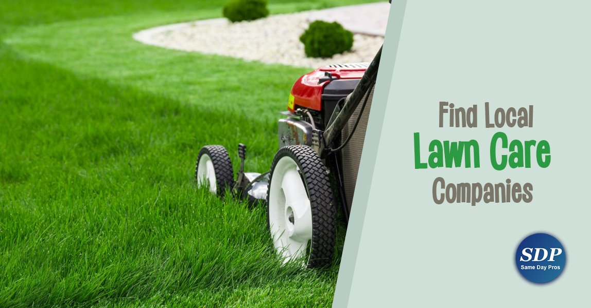 samedaypros's tweet photo. Find a lawn care service professional nearby!

Narrow search by reviews and ratings here - https://t.co/5NL1gyKKid

#FindaProFriday #lawncare #lawnrepair #lawnmaintenance #serviceprofessionals #callaprofessional #samedaypros #baltimore #dallas https://t.co/66FivebFLj