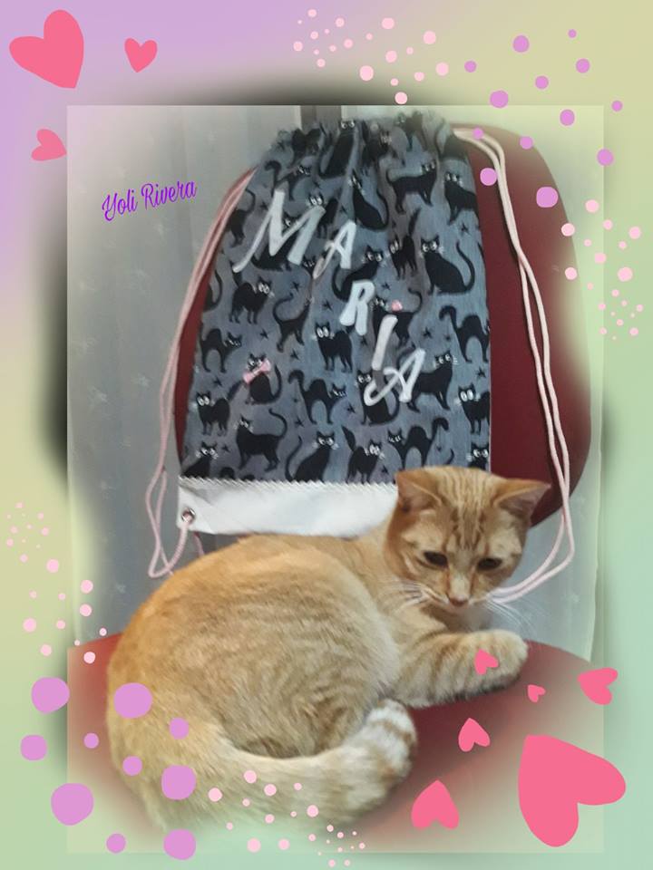 todomininos's tweet image. Aquí tenéis a una de nuestras mascotas con la #mochila original de @Yolirigu03. Se puede personalizar con cualquier nombre. Disponible en todomininos.com