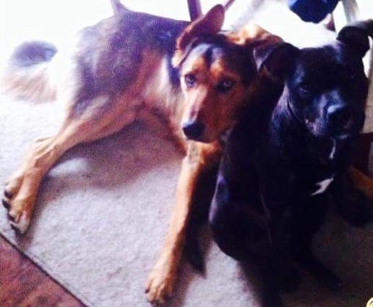 #FindZakHuntaway tweet media