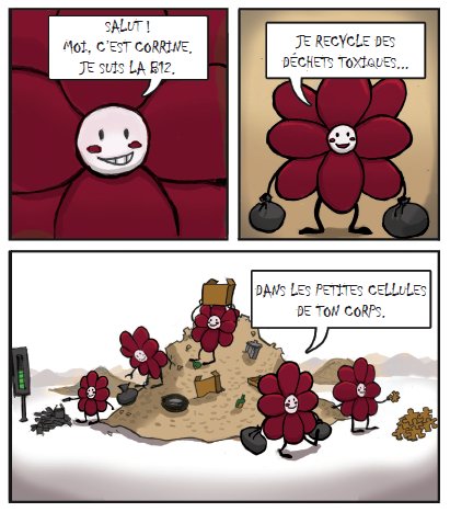 #Teaser : la première page de la BD de vulgarisation intitulée #B12 : la vitamine de la compassion, sort dans 4 jours Voici donc #Corrine, la petite B12, qui nous raconte son parcours, de sa naissance à sa digestion. Un document voulu très accessible, pour les 7 à 77 ans