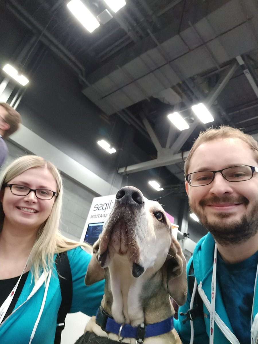 teamKatacoda's tweet photo. We met a cute doggie too! #selfiewithfdio https://t.co/QDvyQb9LBz