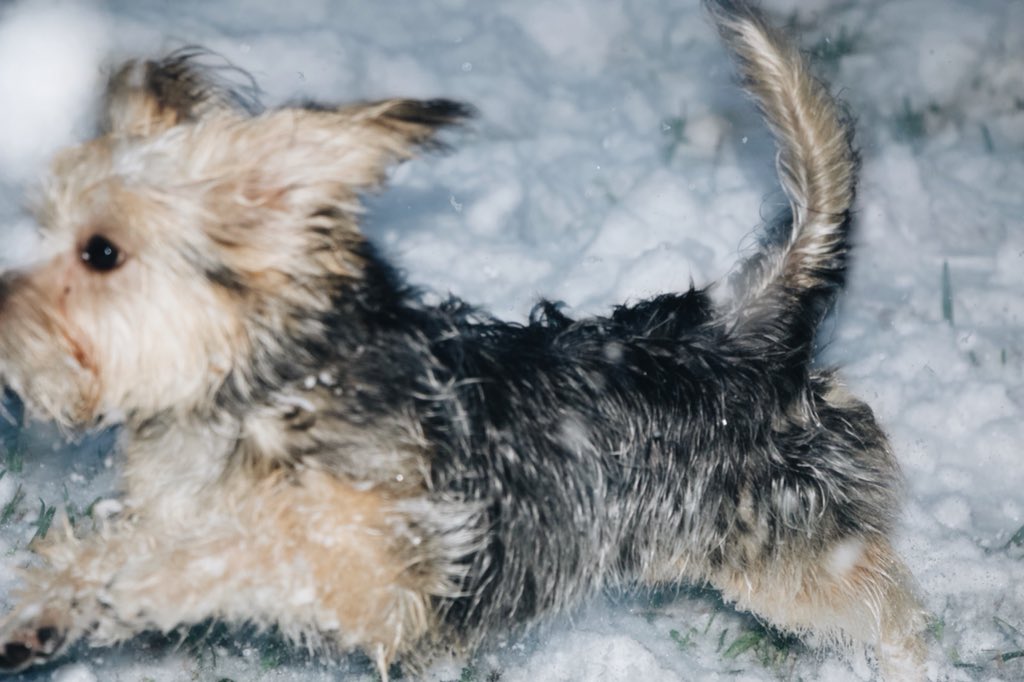 _ashmatch's tweet image. She zoom and she float