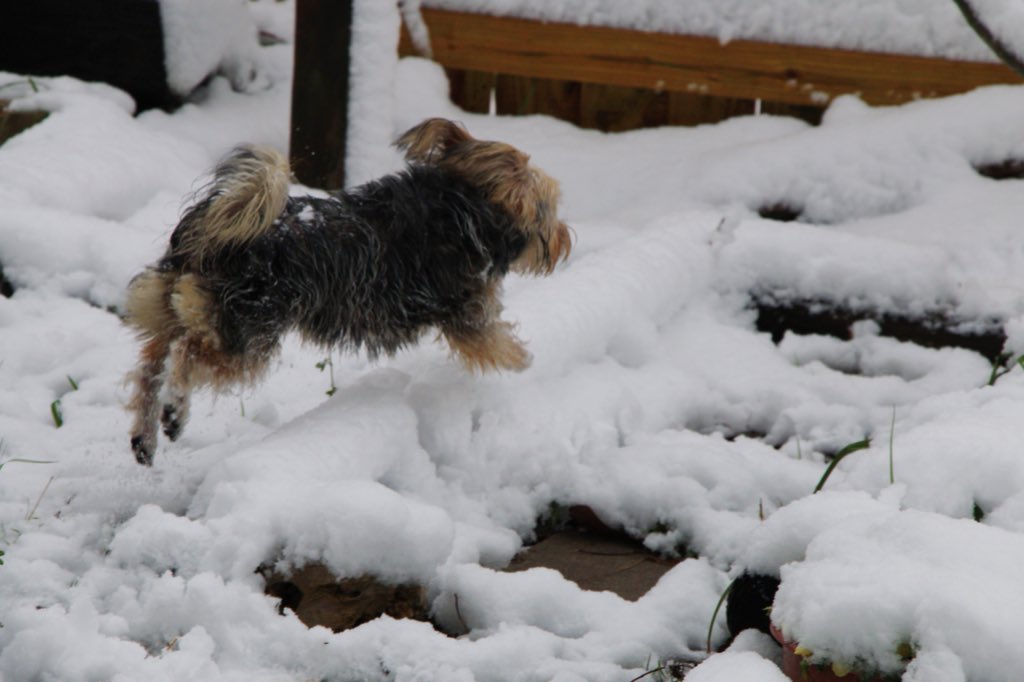 _ashmatch's tweet image. She zoom and she float