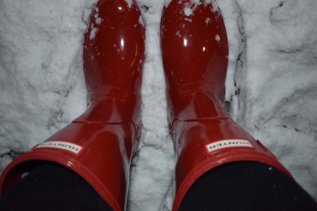 hellementary's tweet photo. @aisdclosures I have missed this account!! https://t.co/c0xdtpggvi