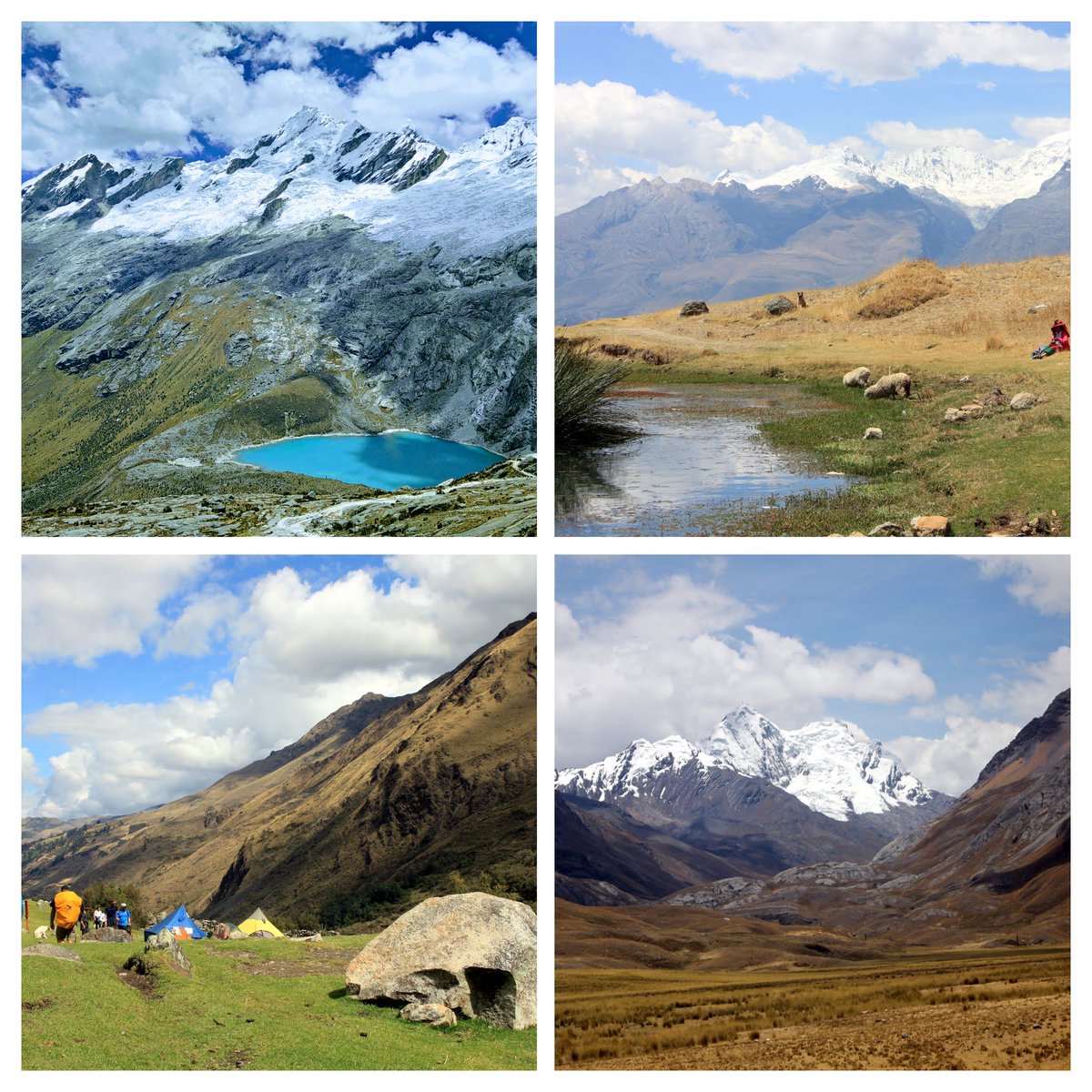 Few weeks ago: Santa Cruz Trek, Peru. 3 days, 30 miles, 16000 ft above msl. Worth it!