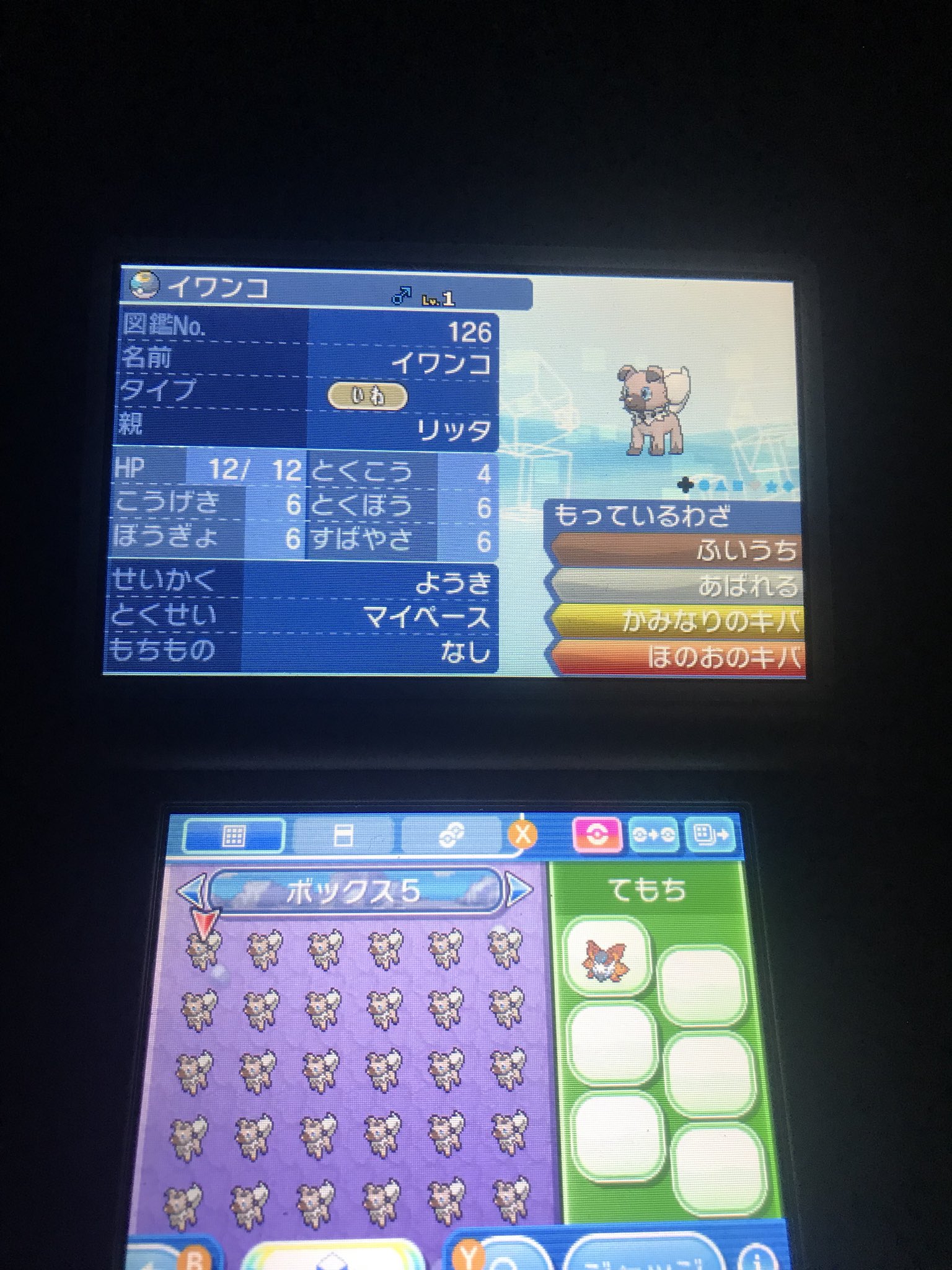 ポケモン Usum Twitter