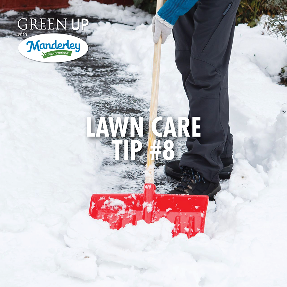 Manderley Turf tweet media