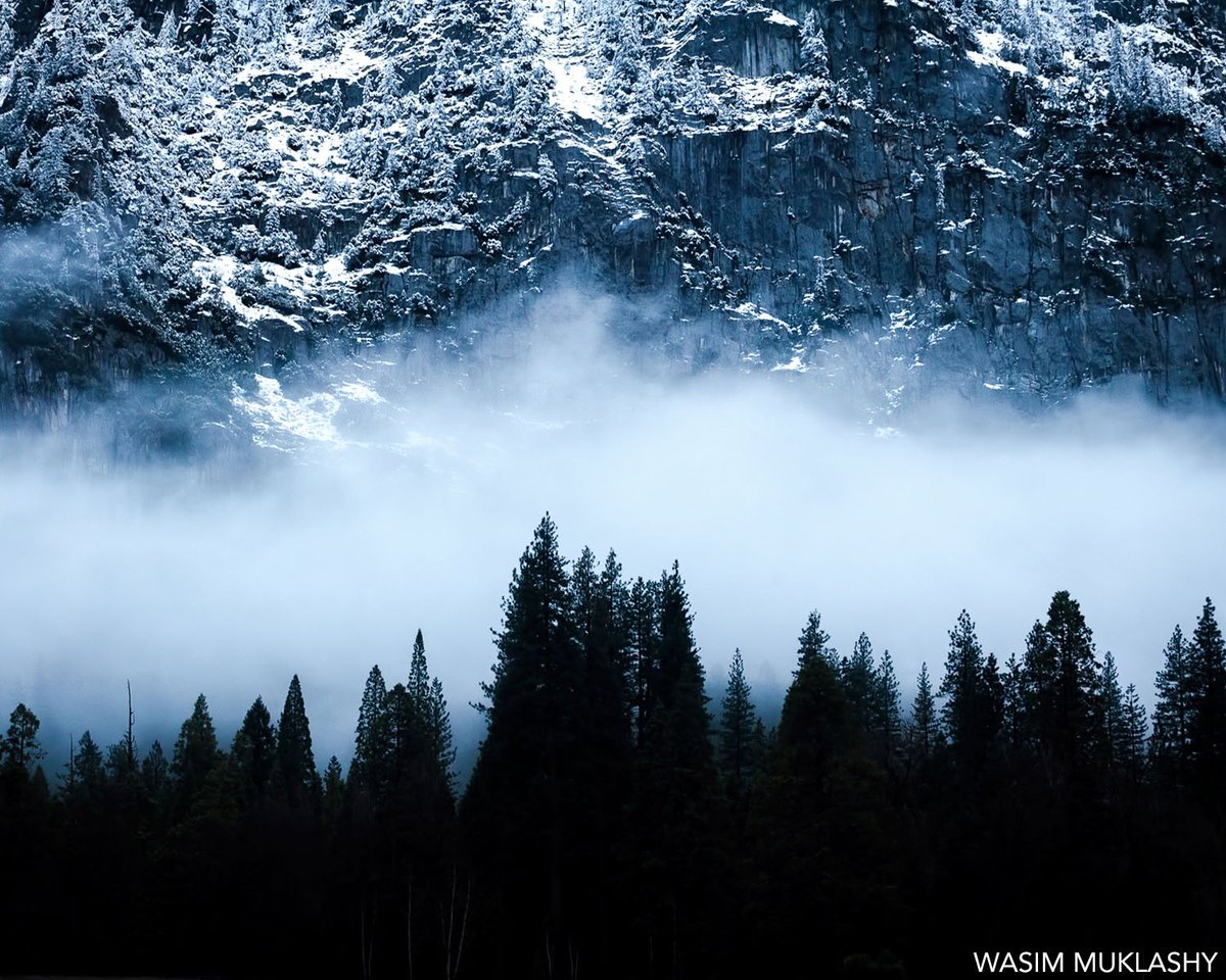 Moody “Yosemite Layer Cake” photo by @wasimofnazareth is our #DesignedEnvironment feature of the day! “3 starkly contrasting layers and textures; a background of slick snowy mountain, a foreground of silhouetted pine trees, and layer of rolling clouds hovering between them."